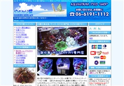 ヤドカリ専門店　やどかり屋