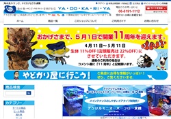 ヤドカリ専門店やどかり屋通販サイト