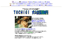 TOCHIGI 犬の出張訓練所