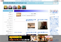 動物動画図鑑★どうぶちゅーぶ