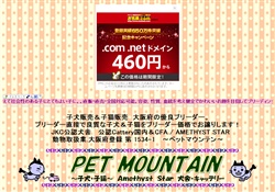 ペットマウンテン　子犬子猫販売