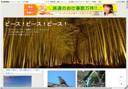 アメブロランキングアップ！(^^ゞ