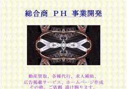 総合商 ＰＨ事業開発