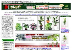 観葉植物販売フレンド