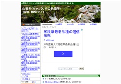 山野草：セッコク等栽培観察サイト