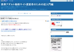 携帯動画サイト運営者超入門編