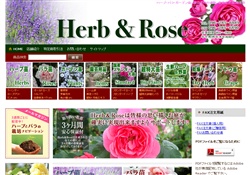 Herb & Rose