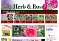 Herb & Rose