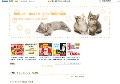 韓国スター 韓流スタードラマ 動画