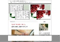 レーシック失敗と副作用