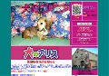 「犬のアリス」仔犬販売専門店