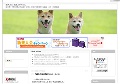 柴犬万里・疾風とのんびり♪