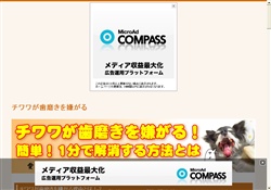 チワワが歯磨きを嫌がる！？